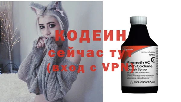 прущие грибы Новодвинск
