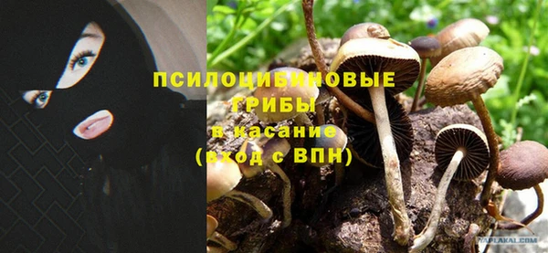 ALPHA PVP Новозыбков