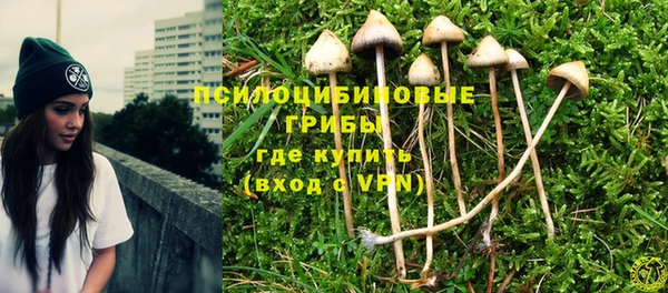 гашиш Абаза