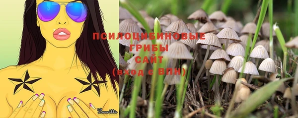 гашиш Абаза