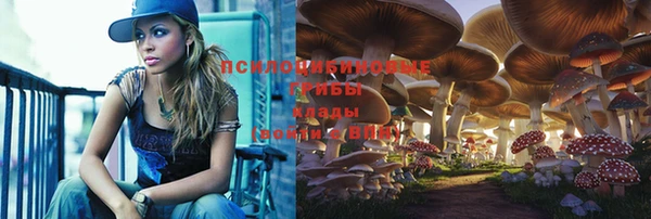 стаф Абинск